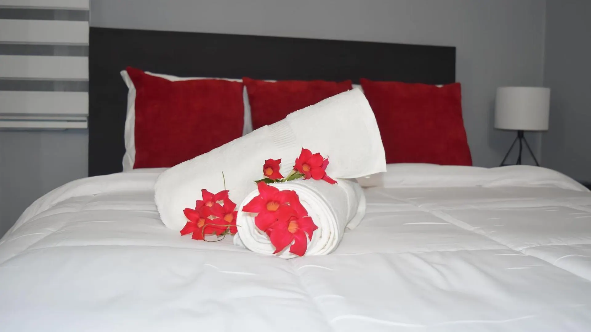 Hotel Boutique Calizo Vip 파하르도
